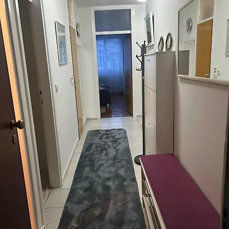 Iris * Sarajevo